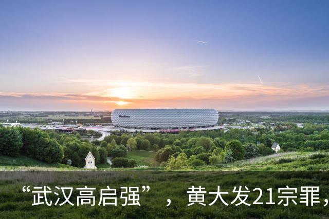 “武汉高启强”，黄大发21宗罪，死刑立即执行！从村支书起步，曾统治武汉长江以北所有楼盘物业……